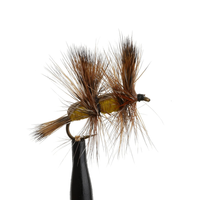 Double Humpy Yellow