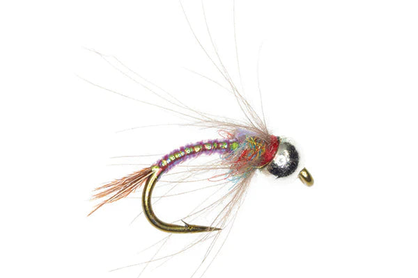 TungHead Rainbow Warrior CDC