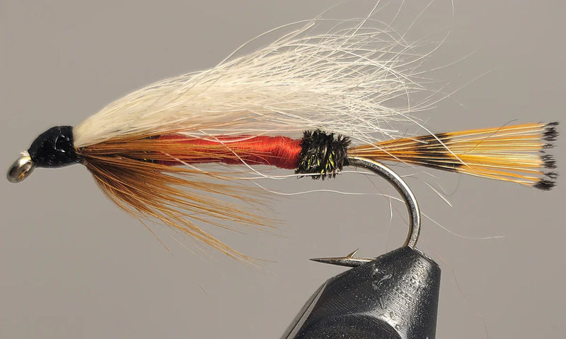 Royal Coachman Streamer