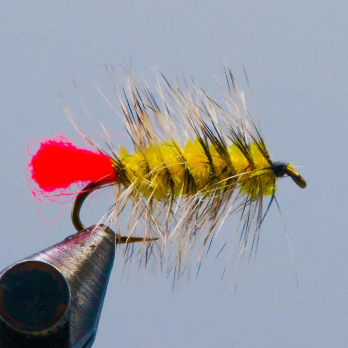 Woolly Worm Yellow