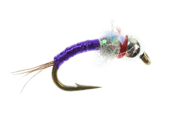 TungHead Rainbow Warrior Purple