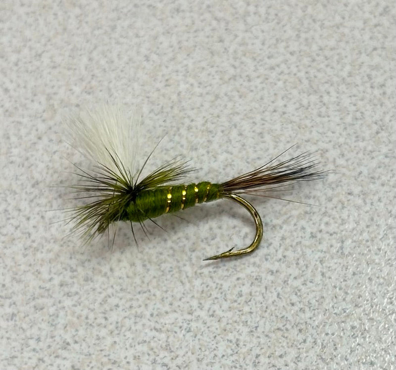Parachute Green Drake