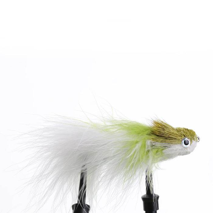 Swimmin' Jimmy Olive/White