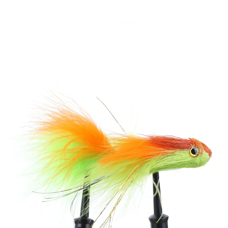 Swimmin' Jimmy Orange/Chartreuse