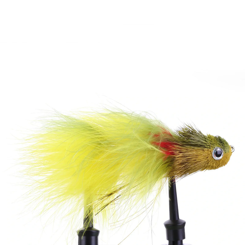 Swimmin' Jimmy Perch