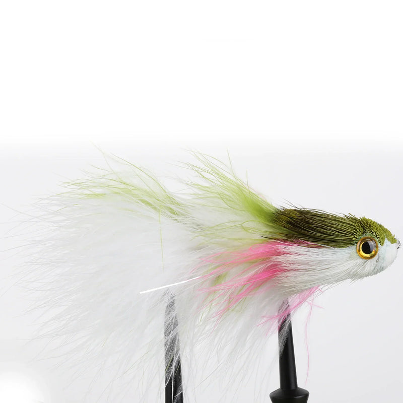 Swimmin' Jimmy Rainbow Trout