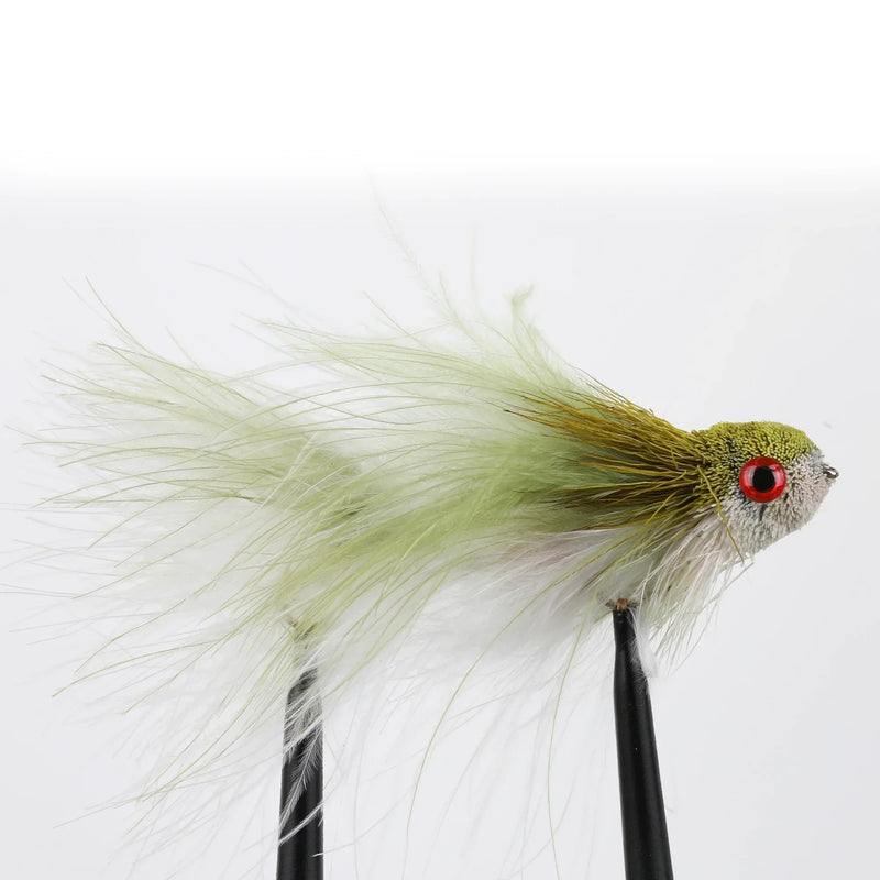 Swimmin' Jimmy Straight Olive/White