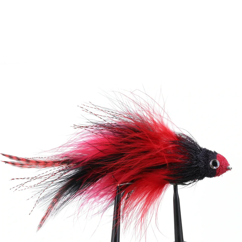 Trick or Treat Red