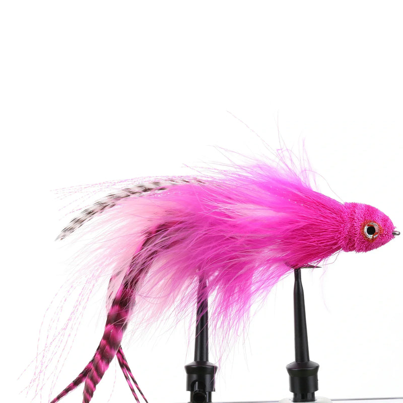 Trick or Treat Pink