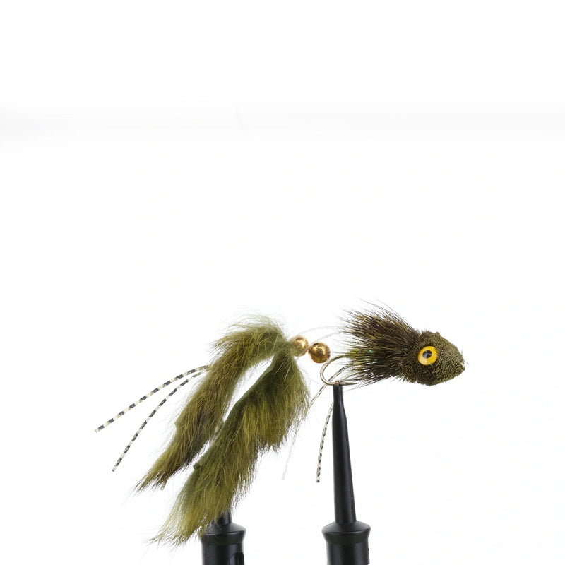 Nancy P. Galloup Dark Olive
