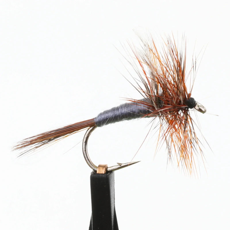 BWO Spinner
