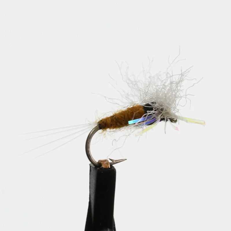 Angel Wing Spinner Tan
