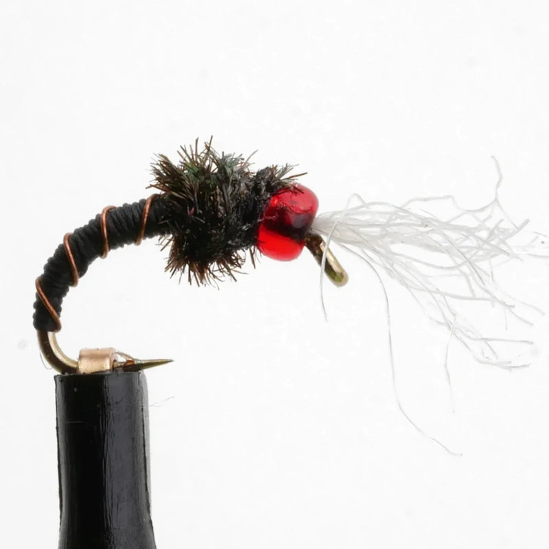 Rojo Midge Black