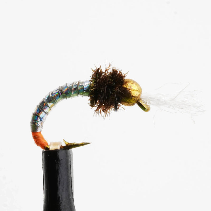 Holographic Midge