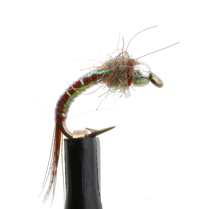 Rainbow Warrior Natural
