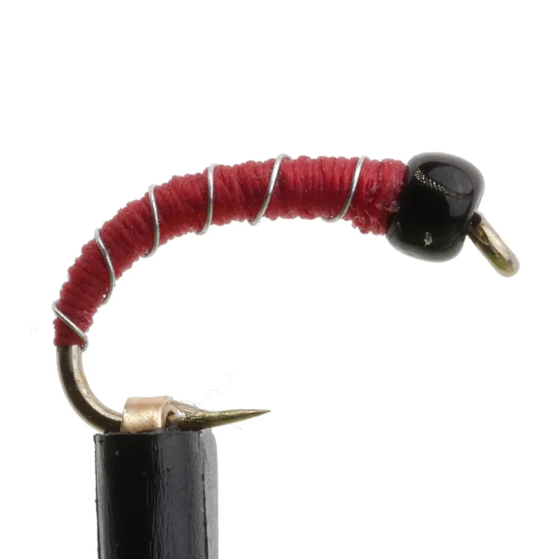 Zebra Midge Red Black BeadHead