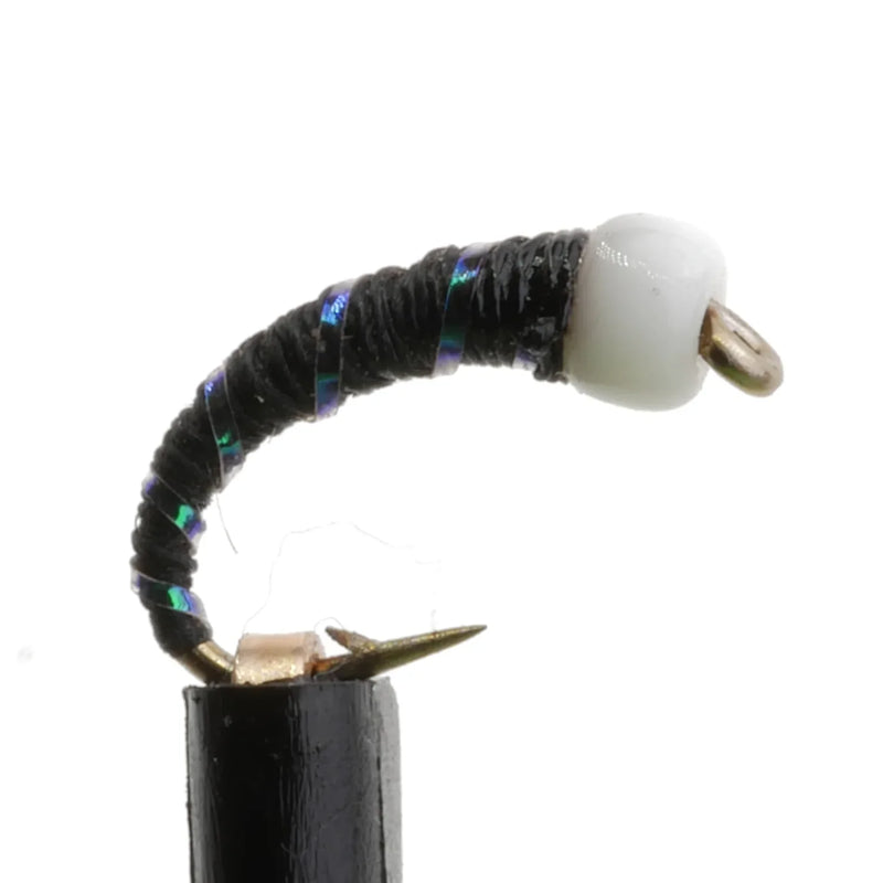 Irredescent Zebra Blue