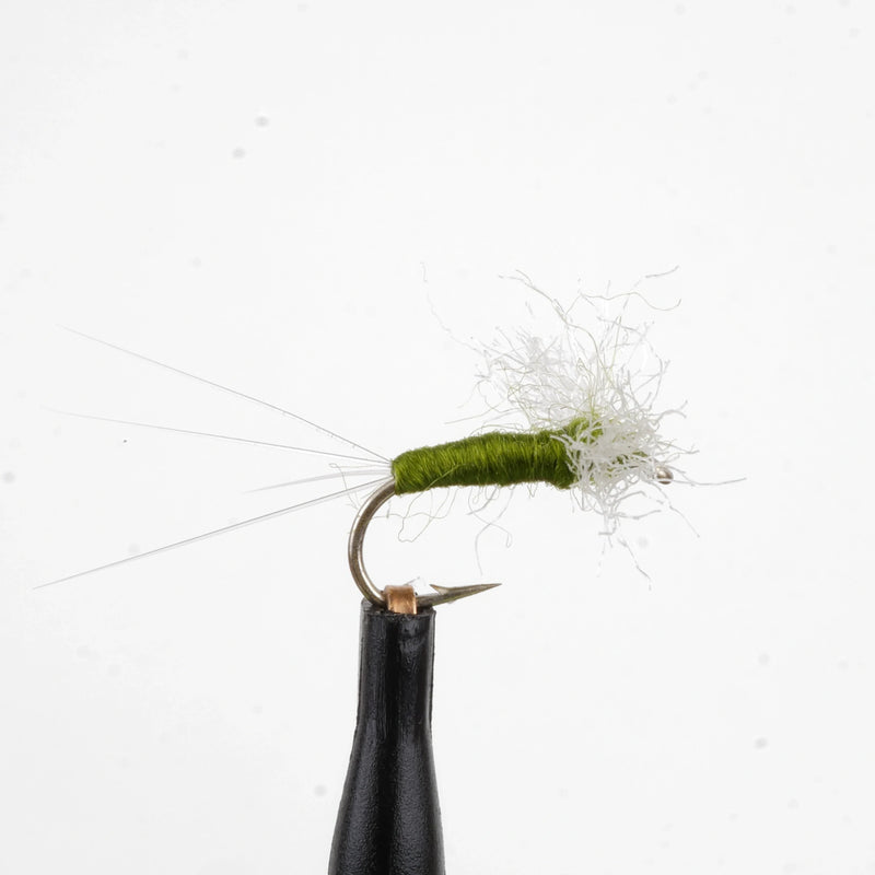 BWO Spinner