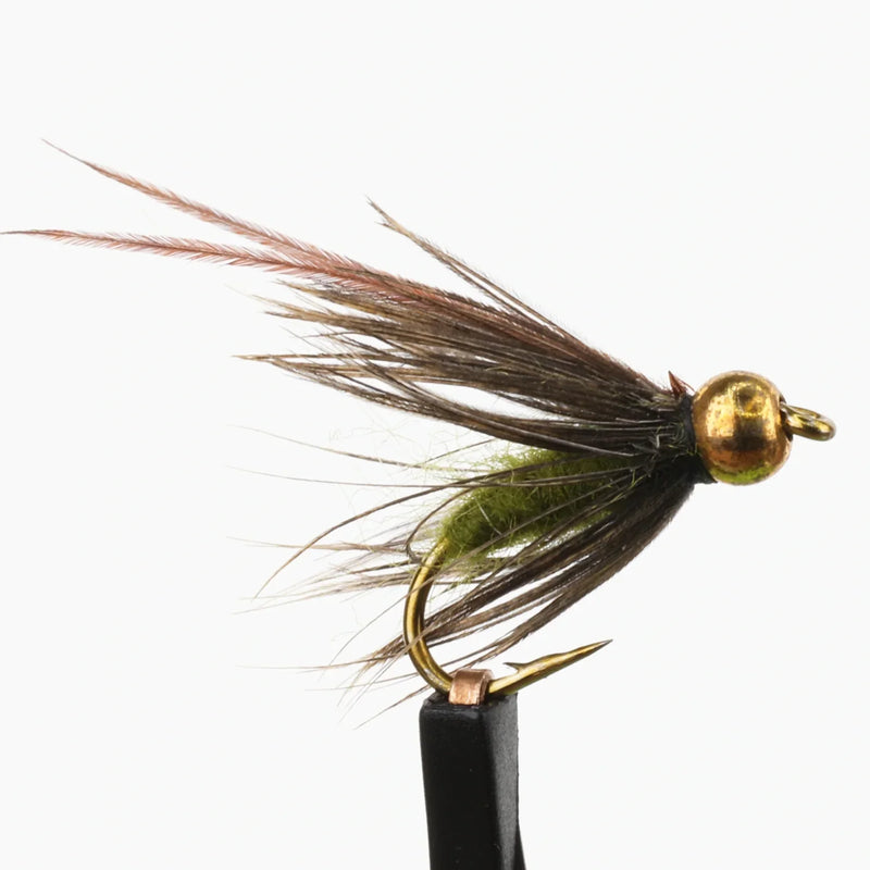 BeadHead Caddis Pupa Olive