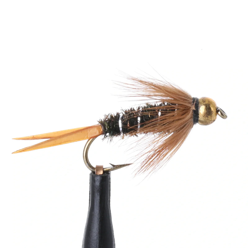 Biotless Prince Nymph