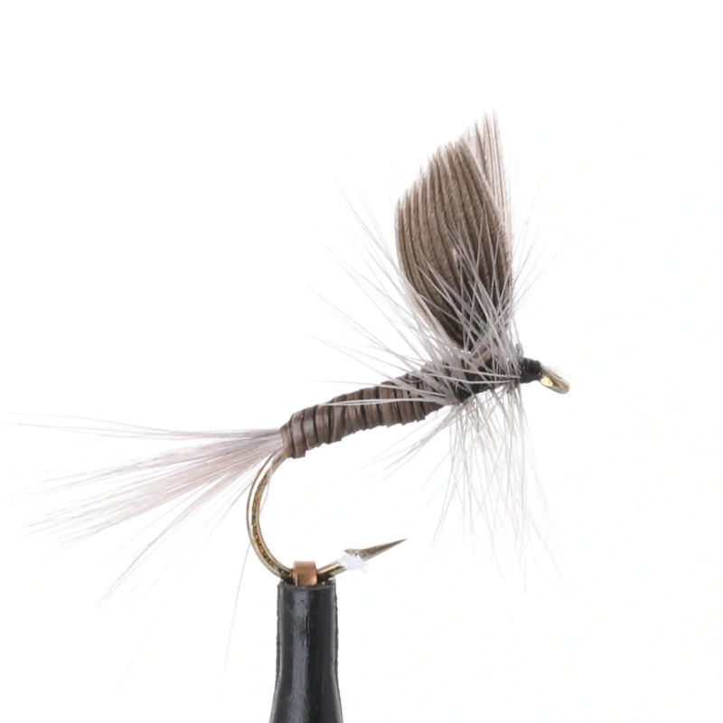 Blue Quill