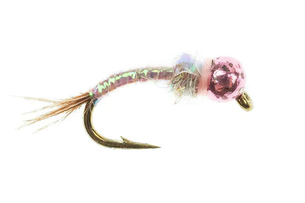 TungHead Rainbow Warrior Pink