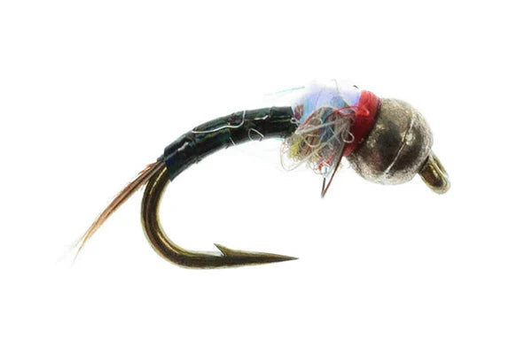 TungHead Rainbow Warrior Black