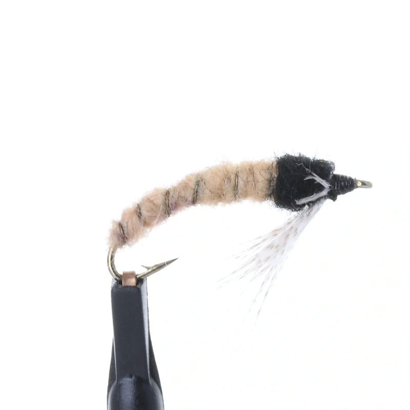 Caddis Larva Tan