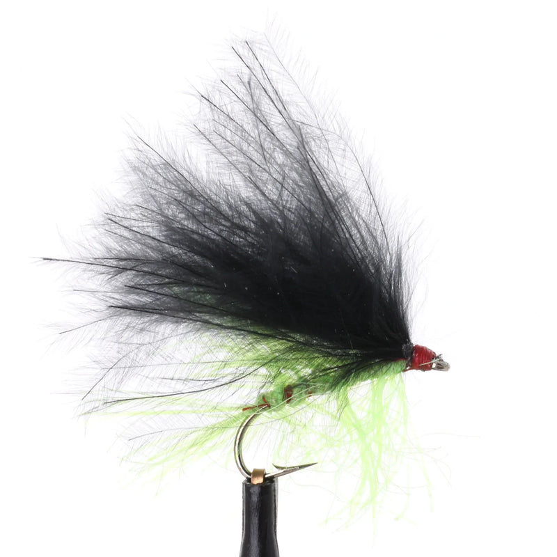 Cat's Straggle Black