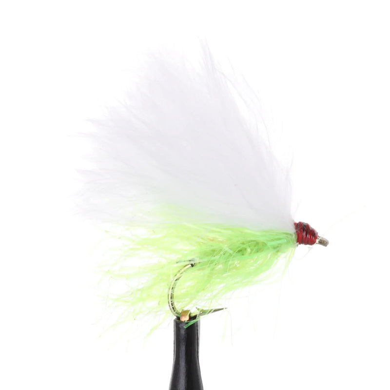 Cat's Straggle White