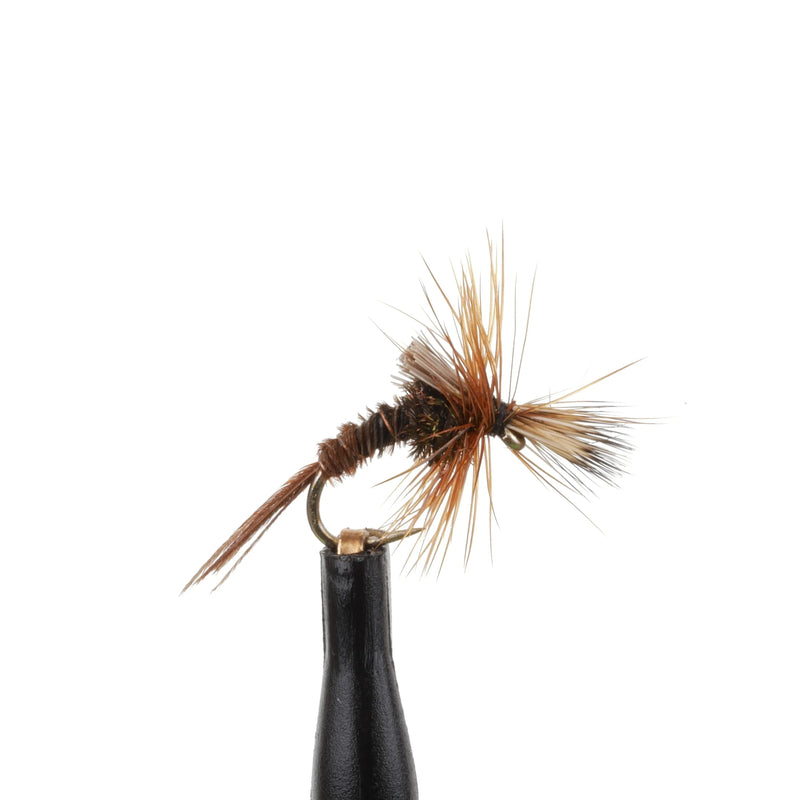 Challenged Pheasant Tail Emerger