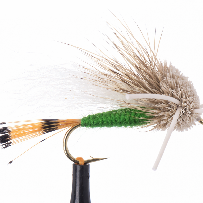 Turck's Tarantula Green