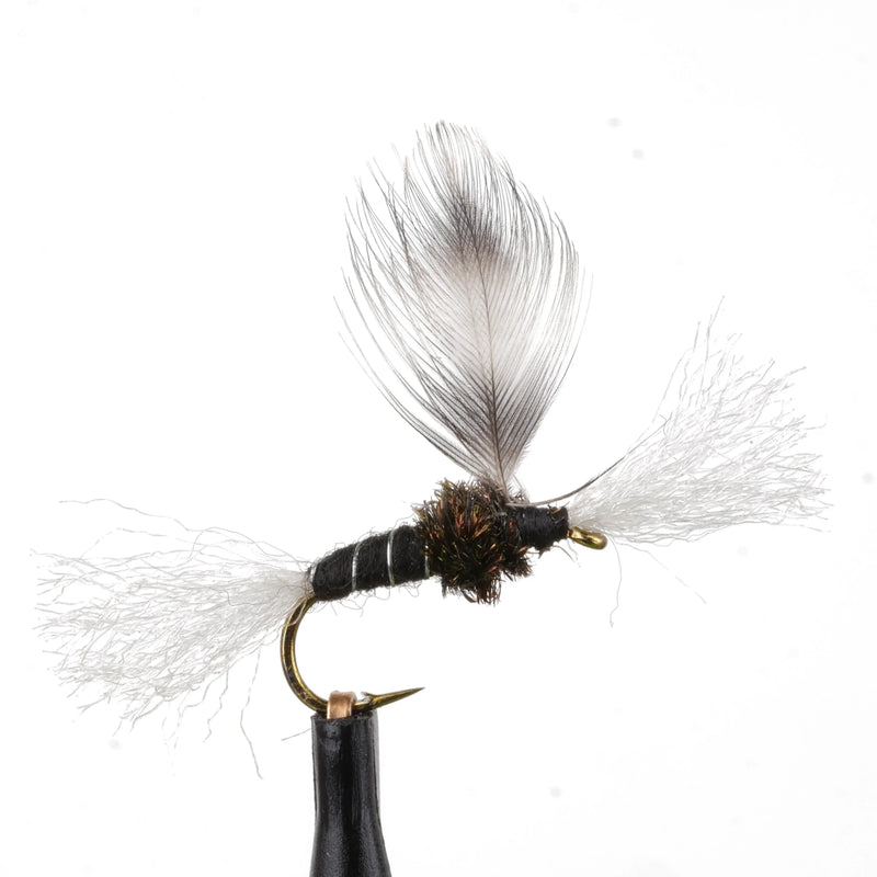 Chirono Midge Pupa Black