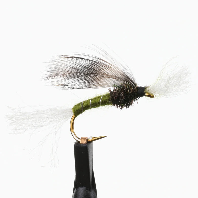 Chirono Midge Pupa Olive
