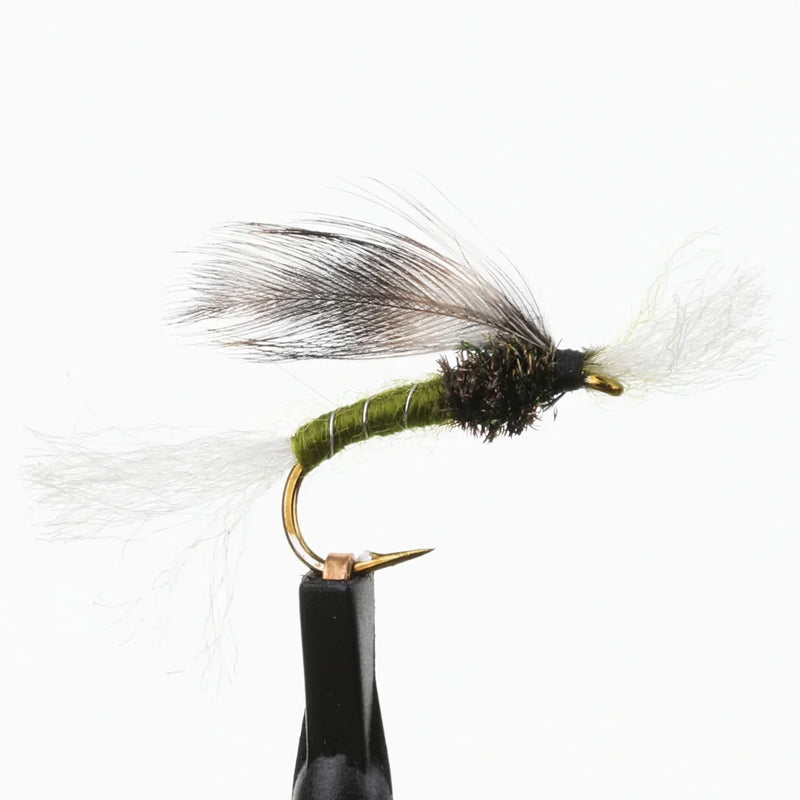 Chirono Midge Pupa Olive