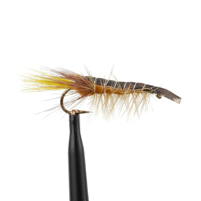 Clouser Cray Brown