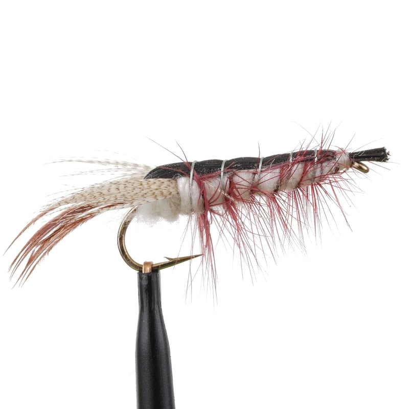 Clouser Cray White
