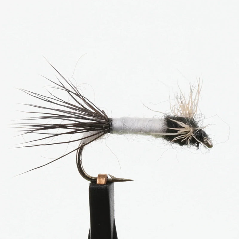 Coffin Fly Spinner