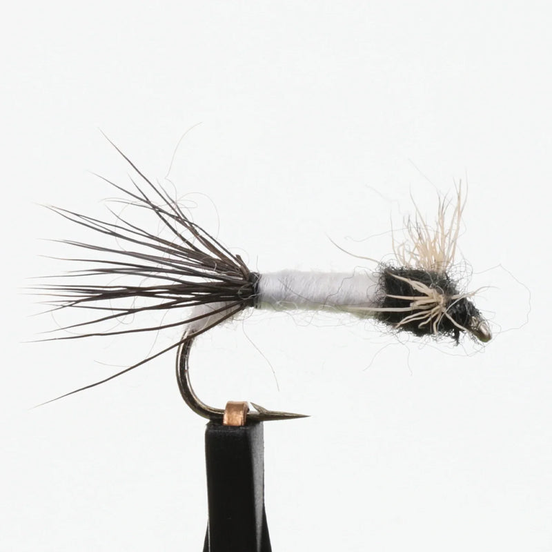 Coffin Fly Spinner