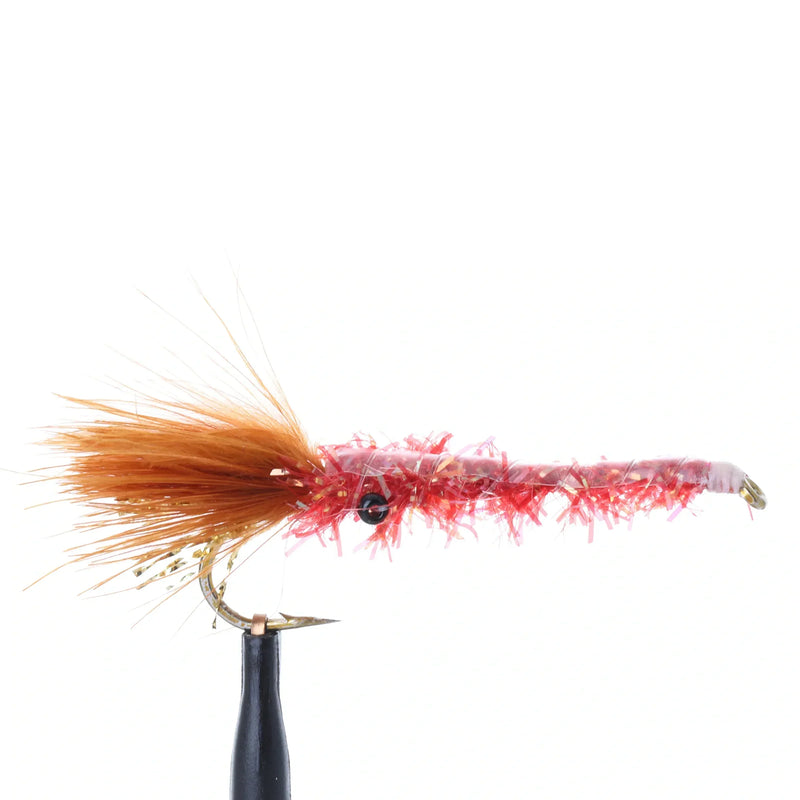 Copper Shrimp