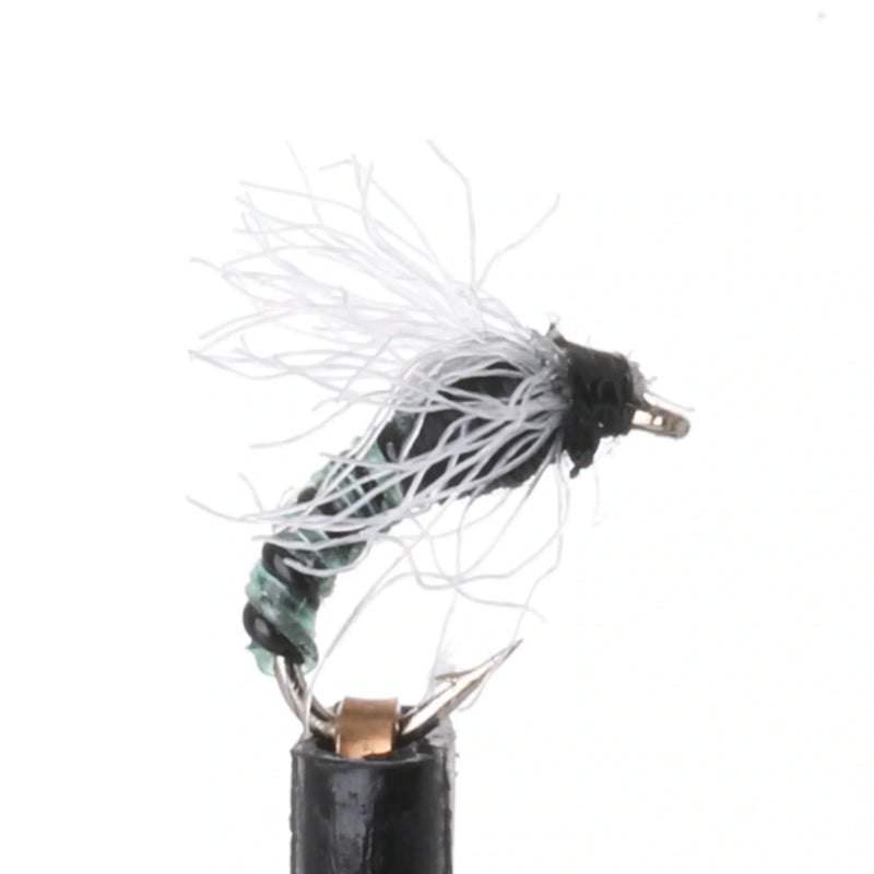 Craven's JuJuBee Midge Olive