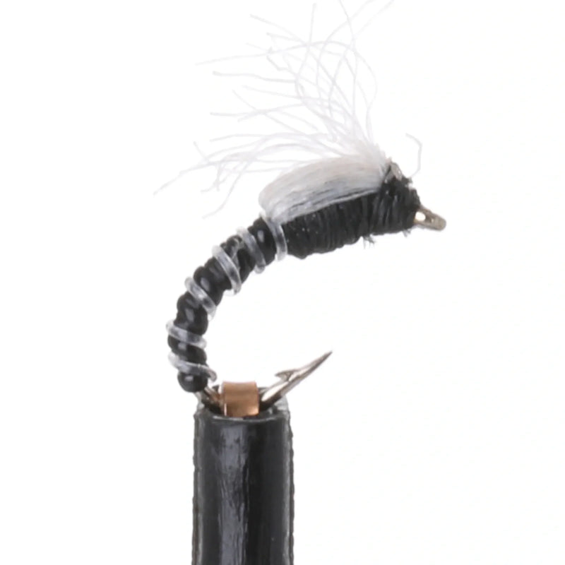 JuJuBee Midge Zebra