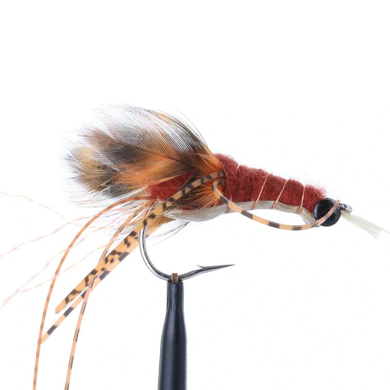 Crayfish Slider