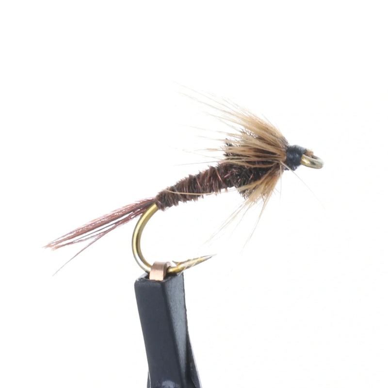 Cruncher