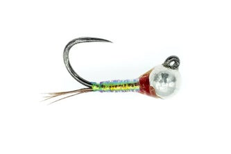 Rainbow Warrior Perdigon