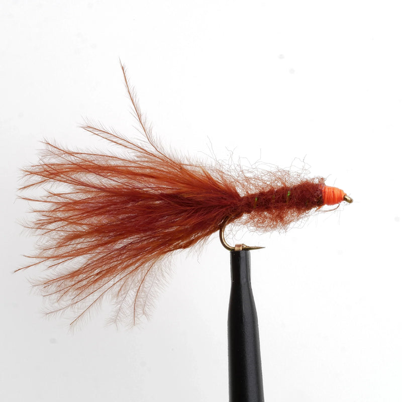 Hot Head Damsel Brown