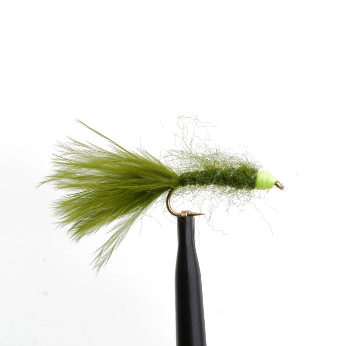 Hot Head Damsel Olive