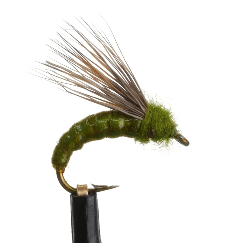 Realistic Caddis Pupa Natural