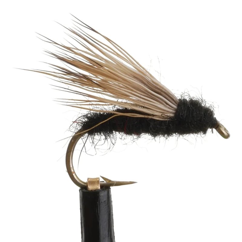 Skater Caddis Black