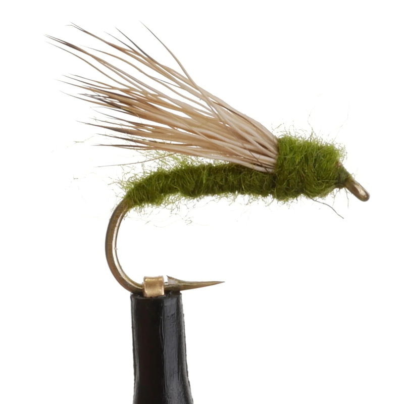 Skater Caddis Olive